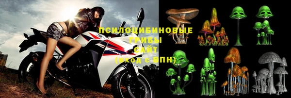 spice Баксан