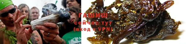 гидра Балахна