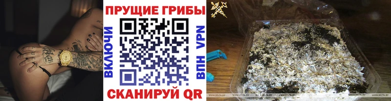 Псилоцибиновые грибы Magic Shrooms  OMG ONION  Макарьев  закладки 